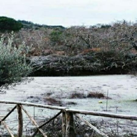 Olivae Βίλα Αραθένα Εξωτερικό φωτογραφία